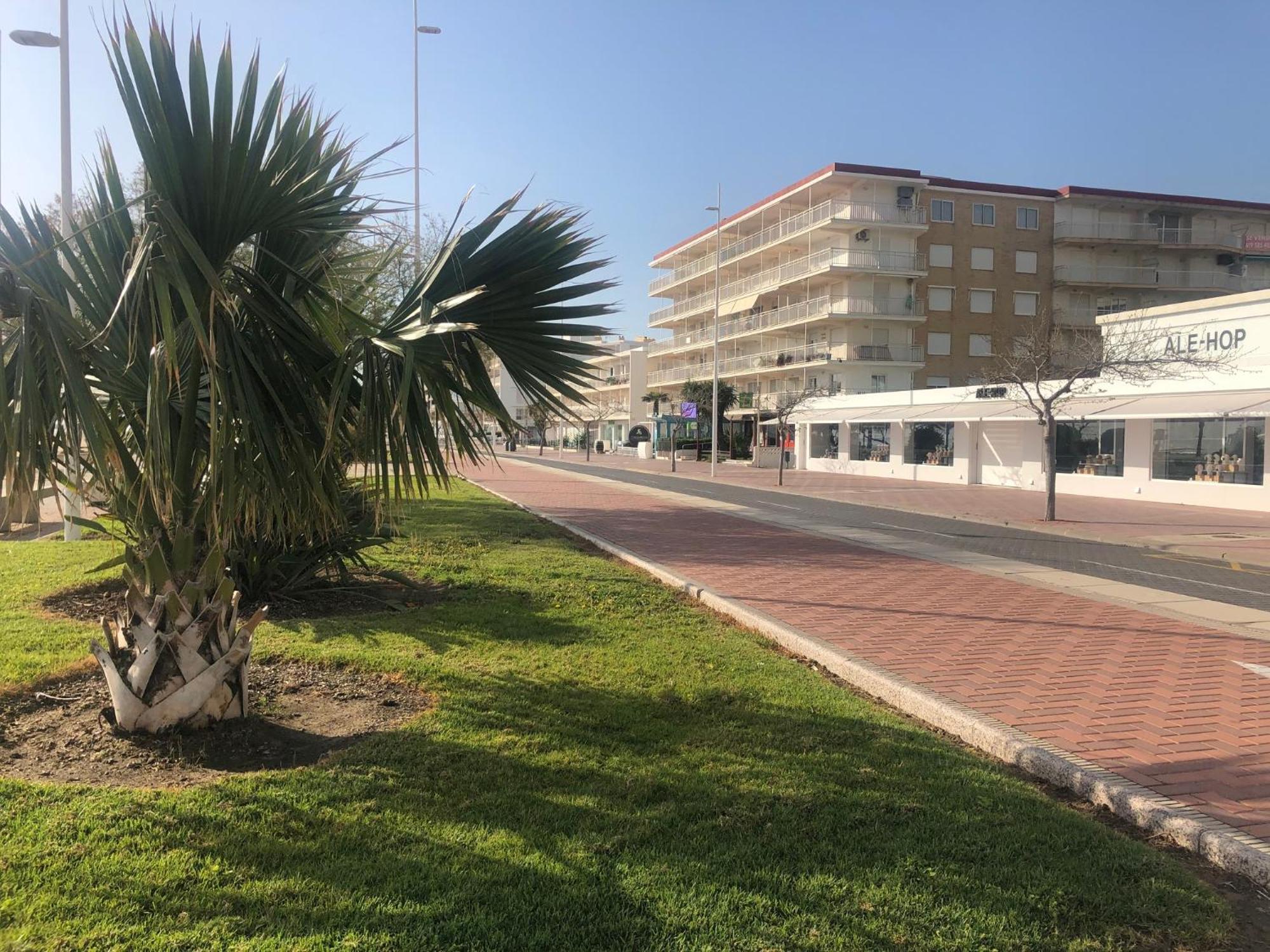 Апартаменты Playa De Gandia 1Ere Ligne El Galeon Экстерьер фото